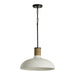 Capital Lighting 340612PW Destin One Light Pendant, Dark Pewter Main Image.jpg