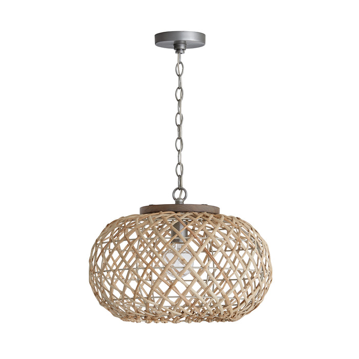 Capital Lighting 340811GK Rainey One Light Pendant, Grey Wash and Antique Nickel Main Image.jpg