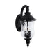 Capital Lighting 939822BK Ashford Two Light Outdoor Wall Lantern, Black Main Image.jpg