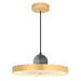 CWI Lighting 1156P16-625 Saleen LED Pendant Sun Gold & Black.jpg