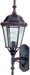 Maxim 65103RP Westlake LED E26 LED Outdoor Wall Sconce, Rust Patina Main Image.jpg