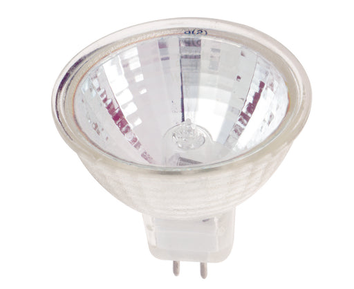Satco S1950-TF Light Bulb Main Image.jpg
