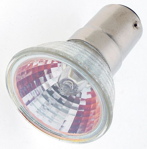 Satco S1952-TF Light Bulb Main Image.jpg