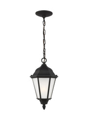 Generation Lighting 60941EN3-12 Bakersville One Light Outdoor Pendant, Black Main Image.jpg