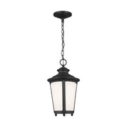 Generation Lighting 62240-12 Cape May One Light Outdoor Pendant, Black Alternate Image.jpg