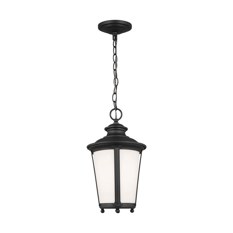 Generation Lighting 62240-12 Cape May One Light Outdoor Pendant, Black Alternate Image.jpg