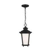 Generation Lighting 62240-12 Cape May One Light Outdoor Pendant, Black Main Image.jpg