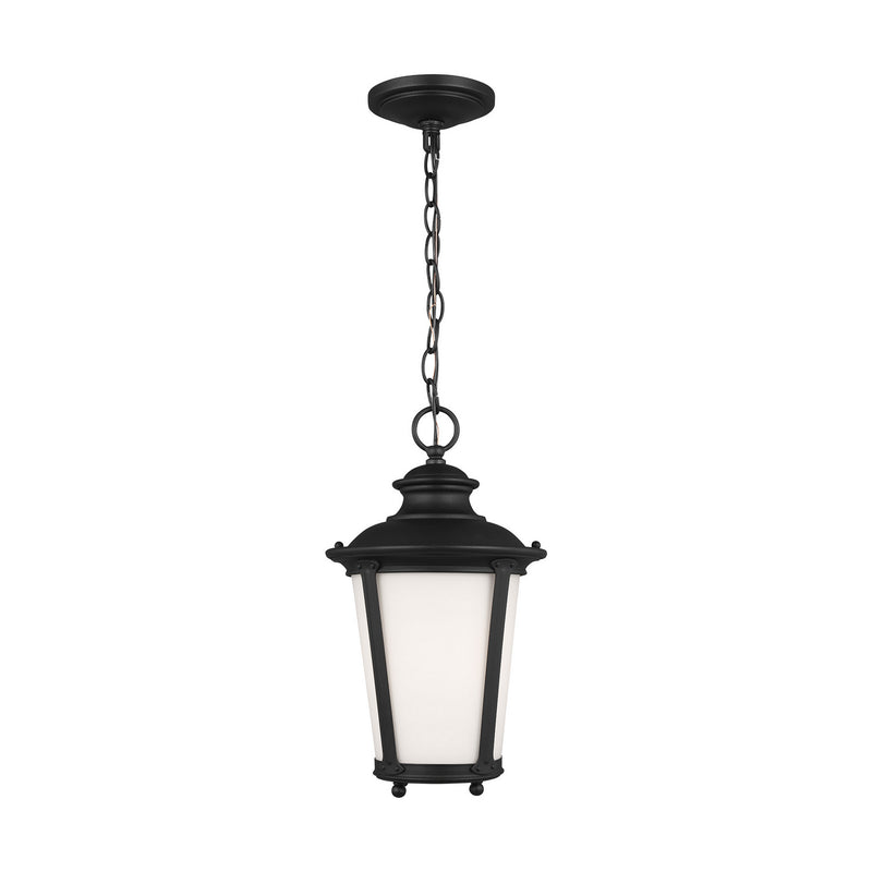 Generation Lighting 62240-12 Cape May One Light Outdoor Pendant, Black Main Image.jpg