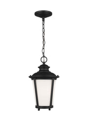Generation Lighting 62240EN3-12 Cape May One Light Outdoor Pendant, Black Main Image.jpg
