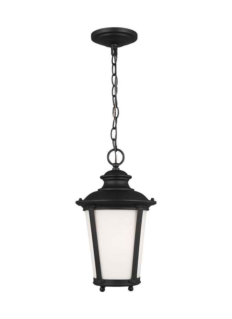 Generation Lighting 62240EN3-12 Cape May One Light Outdoor Pendant, Black Main Image.jpg