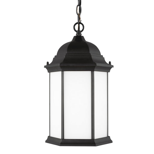 Generation Lighting 6238751-12 Sevier One Light Outdoor Pendant, Black Alternate Image.jpg