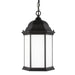 Generation Lighting 6238751-12 Sevier One Light Outdoor Pendant, Black Alternate Image.jpg