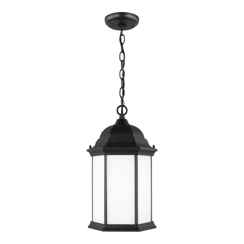 Generation Lighting 6238751-12 Sevier One Light Outdoor Pendant, Black Main Image.jpg