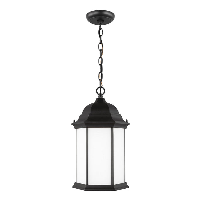 Generation Lighting 6238751-12 Sevier One Light Outdoor Pendant, Black Main Image.jpg