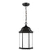 Generation Lighting 6238751-12 Sevier One Light Outdoor Pendant, Black Main Image.jpg