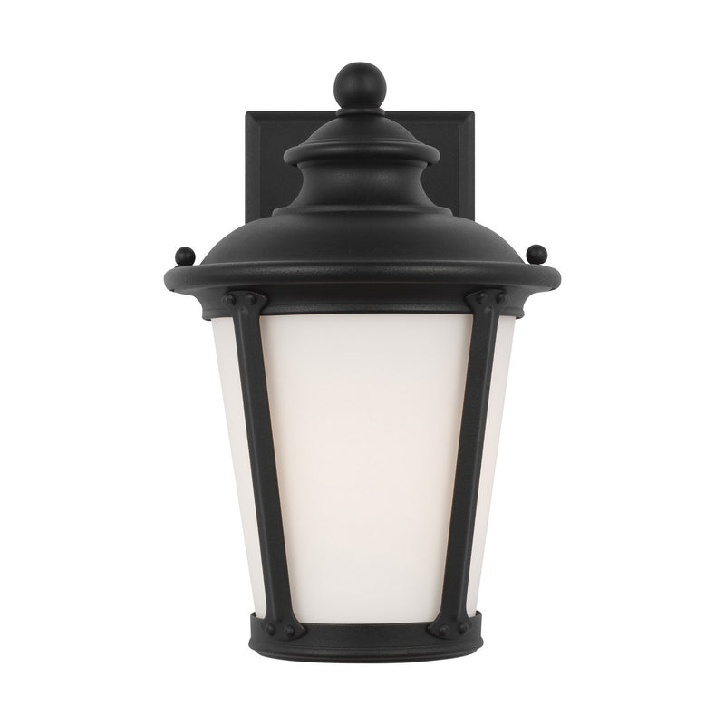Generation Lighting 88240-12 Cape May One Light Outdoor Wall Lantern, Black Main Image.jpg