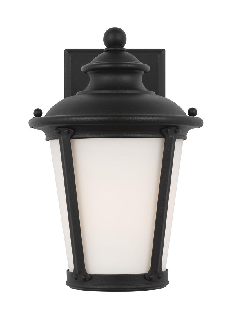 Generation Lighting 88240EN3-12 Cape May One Light Outdoor Wall Lantern, Black Main Image.jpg
