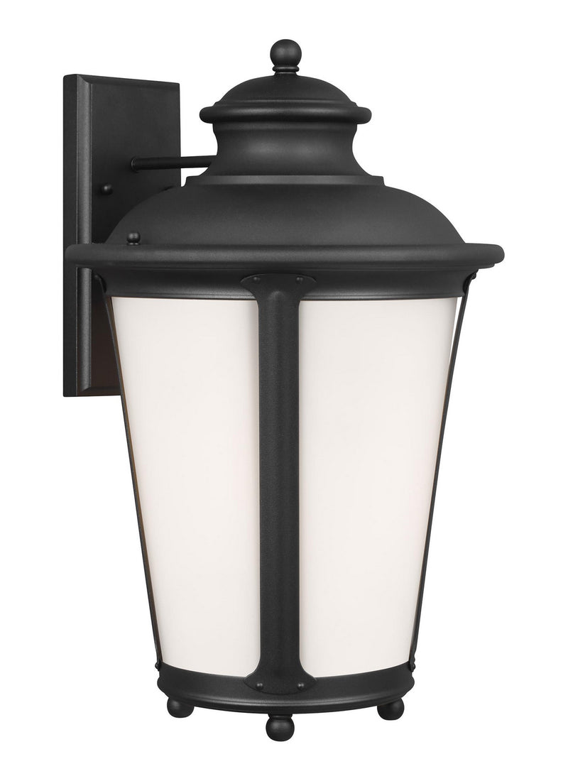 Generation Lighting 88244EN3-12 Cape May One Light Outdoor Wall Lantern, Black Main Image.jpg