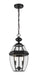 Z-Lite 580CHM-BK Westover Two Light Outdoor Chain Mount Ceiling Fixture, Black Main Image.jpg