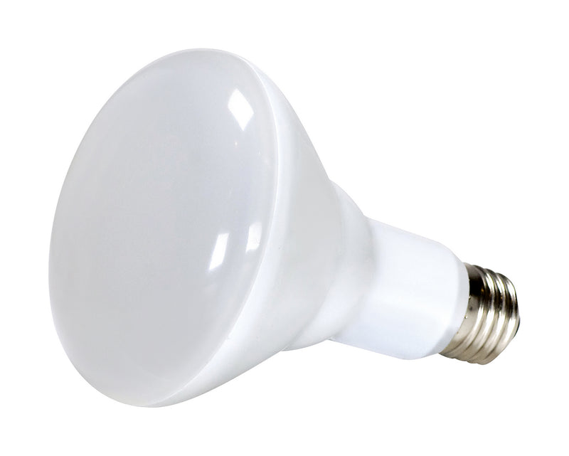 Satco S11420 Light Bulb, Frost Main Image.jpg