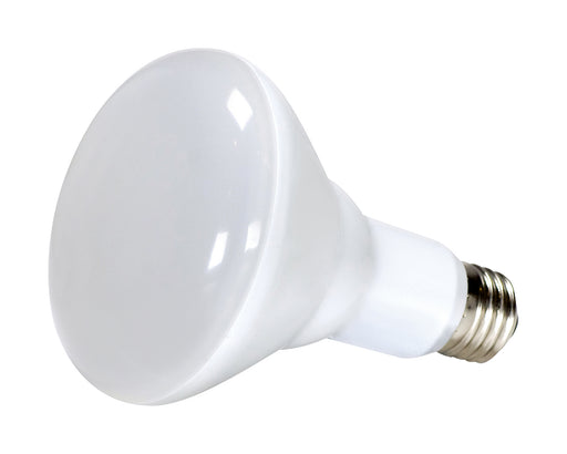 Satco S11420 Light Bulb, Frost Main Image.jpg