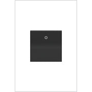 adorne® ASPD1532G4 15A Paddle Switch, Graphite, with Microban® Main Image.jpg