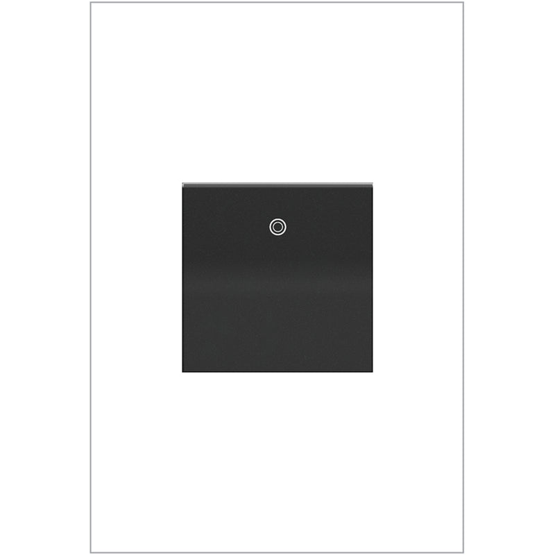 adorne® ASPD1532G4 15A Paddle Switch, Graphite, with Microban® Main Image.jpg