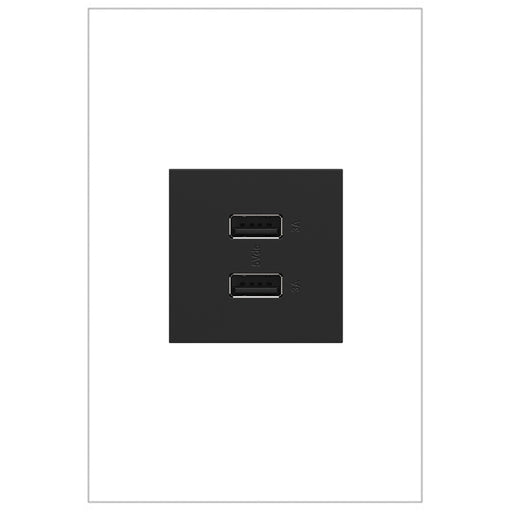 Legrand ARUSB2AA6G4 Adorne USB Type-A/A Outlet Module, Graphite Main Image