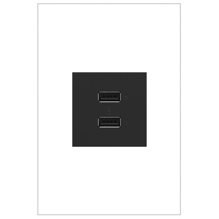 Legrand ARUSB2AA6G4 Adorne USB Type-A/A Outlet Module, Graphite Main Image