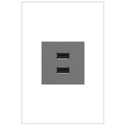 adorne® ARUSB2AA6M4 Ultra-Fast USB Type-A/A Outlet Module, Magnesium Main Image.jpg
