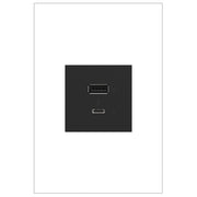 adorne® ARUSB2AC6G4 Ultra-Fast USB Type-A/C Outlet Module, Graphite Main Image.jpg