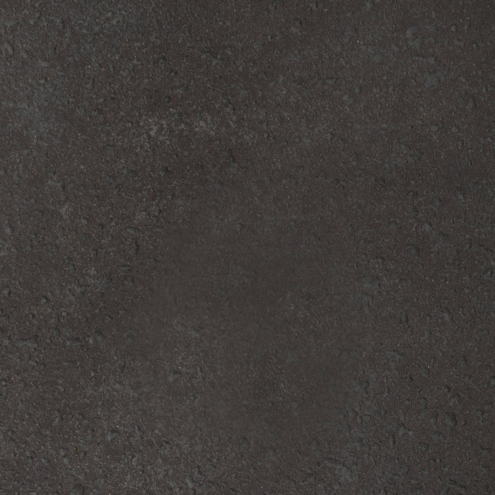 Alternate Image 6.jpg