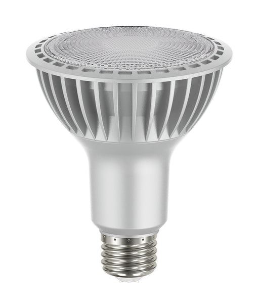 Satco S22241 Light Bulb, Silver Main Image.jpg