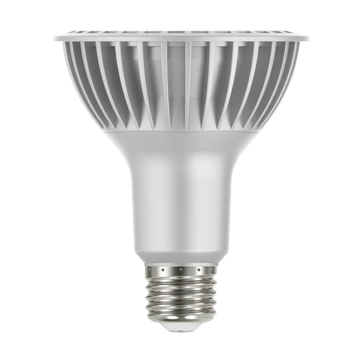 Satco S29764 Light Bulb, Silver Main Image.jpg