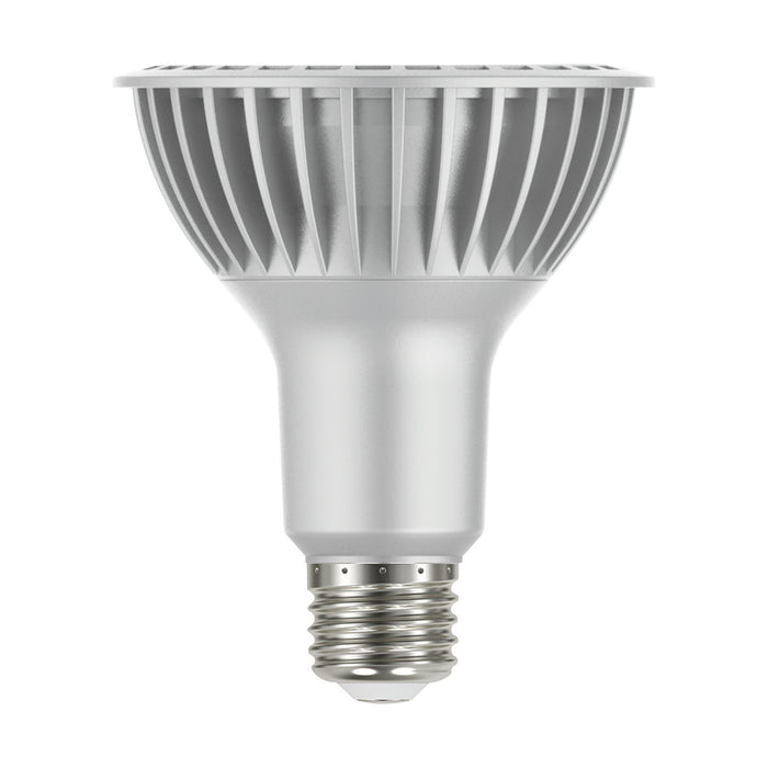 Satco S29764 Light Bulb, Silver Main Image.jpg