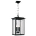 Capital Lighting 943844BK Barrett Four Light Outdoor Hanging Lantern, Black Main Image.jpg