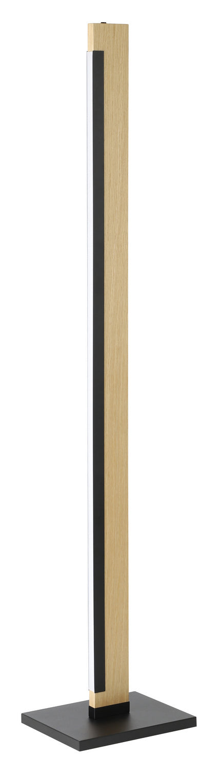 Eglo USA 99296A Camacho LED Floor Lamp Black, Wood Main Image.jpg