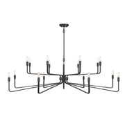 Savoy House 1-6402-16-190 16 Light Chandelier, Forged Iron