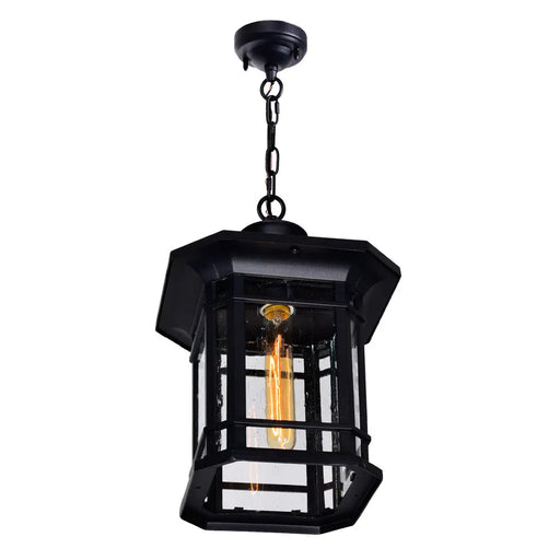 CWI Lighting 0411P9-1-101 Blackburn One Light Outdoor Pendant Black.jpg