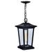 CWI Lighting 0413P8-1-101 Leawood One Light Outdoor Hanging Pendant, Black Main Image.jpg