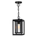 CWI Lighting 0415P7-1-101 Mulvane One Light Outdoor Hanging Pendant, Black Main Image.jpg