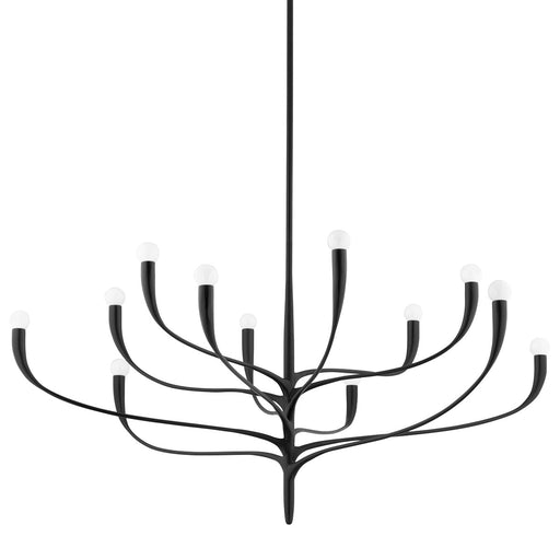 Hudson Valley 9612-AI Labra 12 Light Chandelier, Aged Iron Main Image.jpg