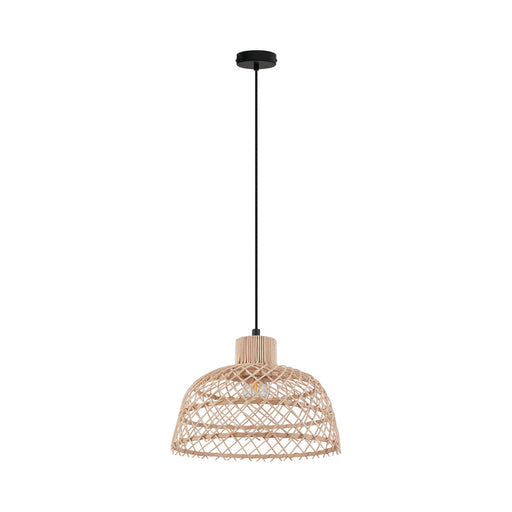 Eglo USA 43285A Ausnby One Light Pendant Black Main Image.jpg