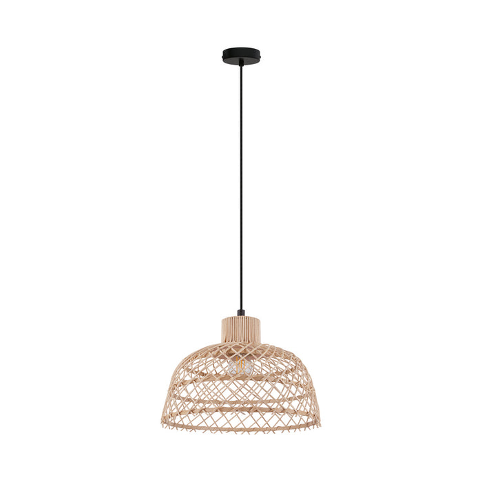 Eglo USA 43285A Ausnby One Light Pendant Black Main Image.jpg