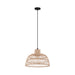 Eglo USA 43285A Ausnby One Light Pendant Black Main Image.jpg