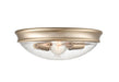 Millennium 5228-MG Two Light Flush Mount, Modern Gold Main Image.jpg