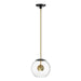 ET2 E25154-BKNAB Nucleus LED Pendant, Black / Natural Aged Brass Main Image.jpg