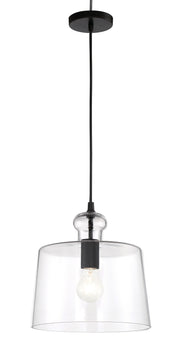 Minka-Lavery 2335-66A Clarity One Light Pendant, Coal Main Image.jpg