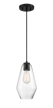Minka-Lavery 2338-66A Clarity One Light Pendant, Coal Main Image.jpg