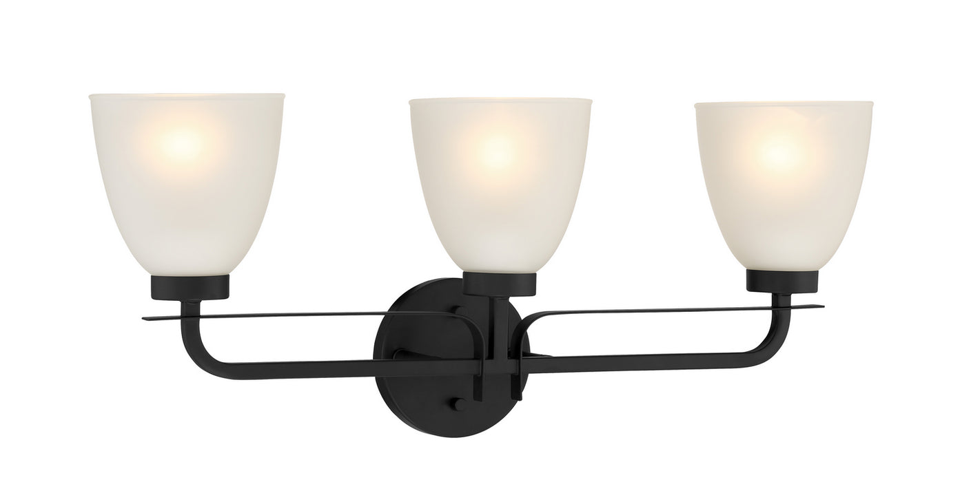 Minka-Lavery 2883-66A Kaitlen Three Light Bath, Coal Main Image.jpg